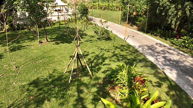 Camera preview of the garden and pathway at the site